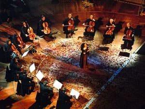 12 nghệ sĩ cello nổi tiếng của Đức đến Việt Nam
