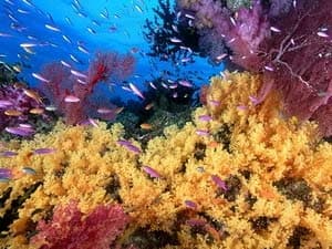 Tiết lộ mới về đại dương sau 10 năm nghiên cứu