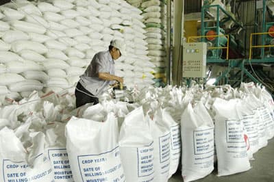 Doanh nghiệp và nông dân cùng thiệt