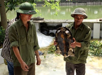 Triển lãm “Văn minh lúa nước sông Hồng với 1000 năm Thăng Long – Hà Nội”