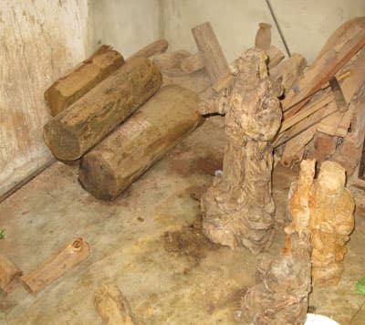 Săn đồ mỹ nghệ “thuỷ tùng”