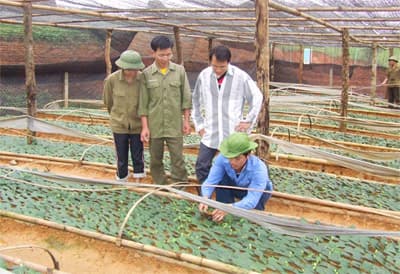 Sắc mới Pu Xai Lai Leng