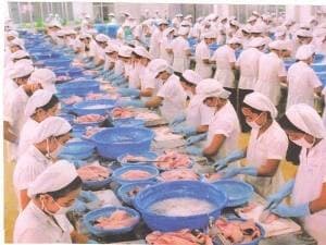 Nhiều thách thức với ngành xuất khẩu thuỷ sản 2011