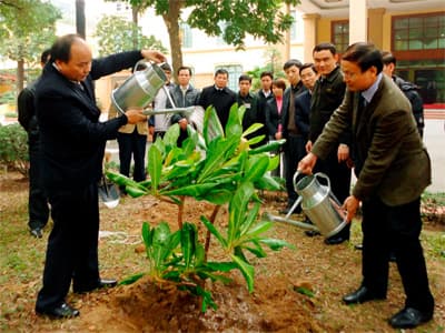 Trồng cây bàng quả vuông do quân dân Trường Sa gửi tặng