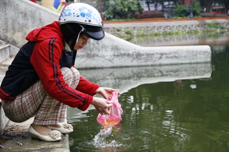 Nô nức tiễn ông Công, ông Táo lên đường