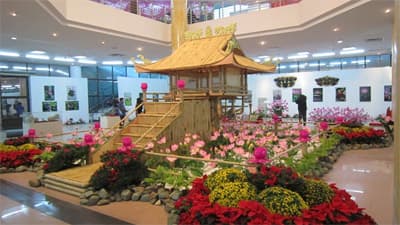 Hơn 80% phiếu bình chọn Hoa sen là Quốc hoa Việt Nam