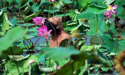 17 phim truyện nhựa tranh giải Bông Sen Vàng lần thứ 17