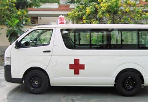 Phát hiện xe cứu thương chở thịt lợn rừng không phép