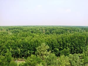 Tăng cường phối hợp bảo vệ rừng giáp ranh