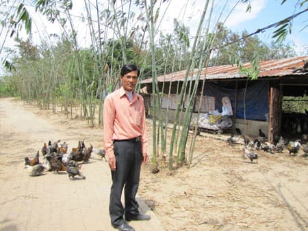 Người cựu chiến binh làm giàu trên đồi cát trắng