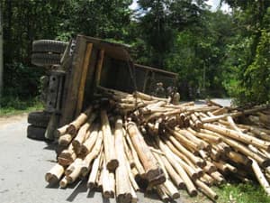 Lật xe chở gỗ, 9 người chết, 5 người bị thương