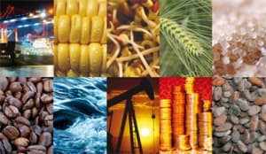 Thúc đẩy hỗ trợ các doanh nghiệp trong nước xuất khẩu hàng hóa