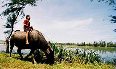 Đền thờ Thần Nông và Lễ hội mục đồng duy nhất ở Việt Nam