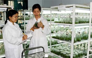 Đầu tư cho khoa học và công nghệ đạt 1,5% GDP