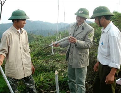 Cần có biện pháp ngăn chặn tình trạng chặt phá cây cao su