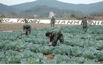 Xứng đáng là thanh niên xung kích