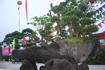 Ngắm dàn sinh vật cảnh “khủng” trong Carnaval Hạ Long 2011