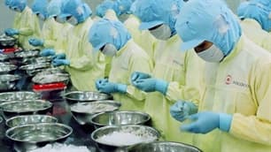 22 công ty Việt Nam được giảm thuế chống bán phá giá tôm