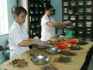 Giai đoạn 2003-2010: Các chỉ tiêu về y học cổ truyền chưa đạt được như yêu cầu