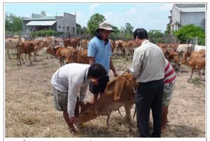 Hơn 14.000 hộ gia đình được hỗ trợ phục hồi sinh kế