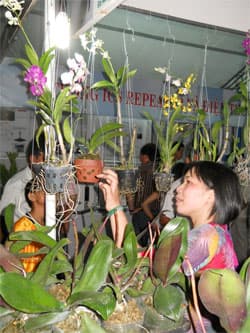 Hàng nghìn nông dân tham dự Techmart Quảng Nam năm 2011