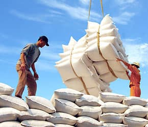 Năm 2011, Việt Nam có thể xuất 7-7,3 triệu tấn gạo