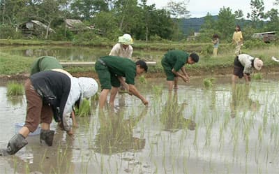 Hồi sinh nơi “vùng đất chết” A So