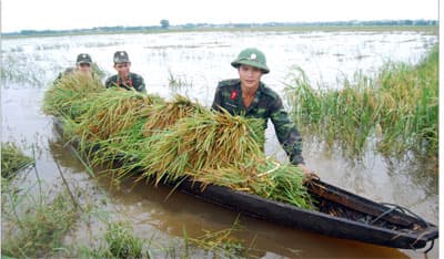 Trung đoàn 19-Sư đoàn 968 giúp nhân dân khắc phục hậu quả cơn bão