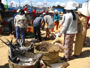 Làng biển vào Xuân