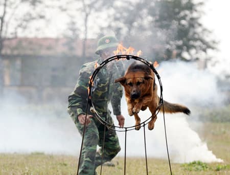 “Vũ khí” đặc biệt của bộ đội biên phòng