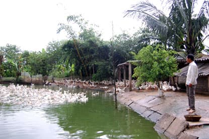 Người cựu chiến binh làm kinh tế giỏi