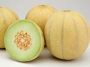 Dưa vàng nhiễm khuẩn listeria chưa có ở Việt Nam