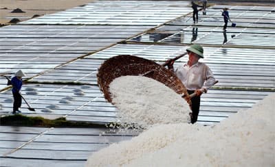 Lối đi nào cho diêm dân?