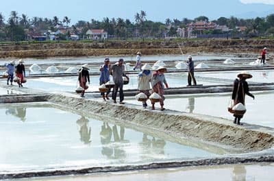 Nhiều đối tượng được miễn thuế sử dụng đất nông nghiệp