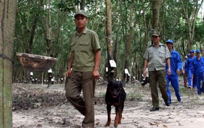 Mạnh nhờ “bệ đỡ” tốt
