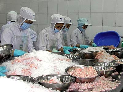Kim ngạch xuất khẩu nông, lâm và thủy sản đã vượt ngưỡng 10 tỷ USD