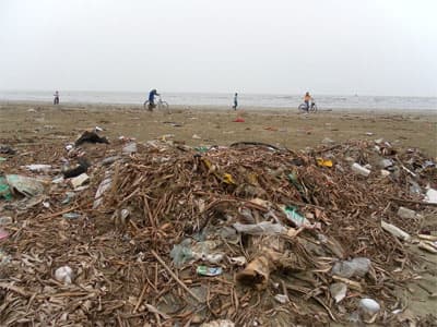 Bãi biển Diễn Thành ngập rác