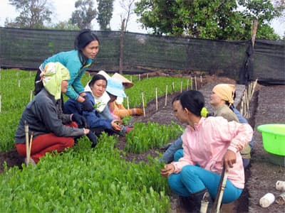 Bài I: Lập nghiệp trên vùng đất dữ