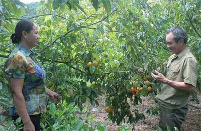 Nông thôn mới giữa trùng khơi
