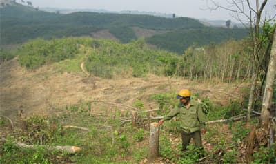 Hành vi vi phạm pháp luật cần xử lý nghiêm