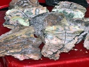 Tiến hành đổi tiền cho tiểu thương chợ Quảng Ngãi