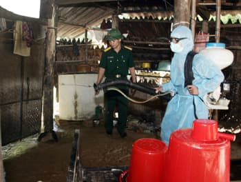Cần cấp bách phòng, chống dịch bệnh