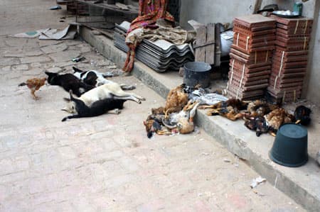 Ngộ độc khói lò gạch, 3 người tử vong
