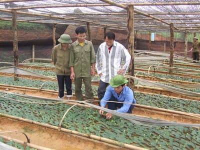 Sắc mới Pu Xai Lai Leng