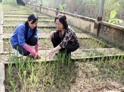 Bài 2: “Hai thành viên” - một hướng đi