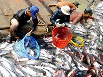 Tiềm năng, phát triển và hội nhập