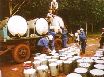 Người Gia-rai đã biết làm giàu