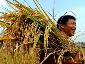 Cuộc thi ảnh “Chúng ta có thể chấm dứt đói nghèo”