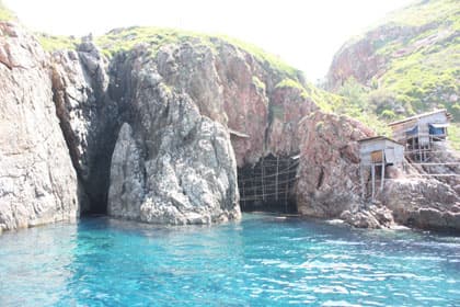 Một ngày trên đảo yến
