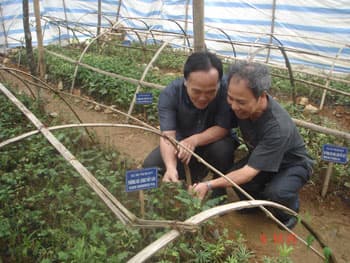 Phép màu  ở Thài Phìn Tủng